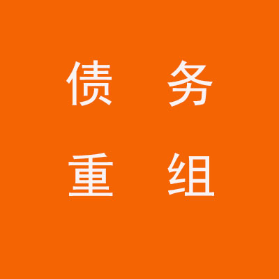 马龙个人债务重组优化